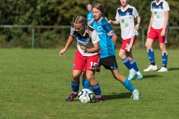 Bild 144 - wBJ VfL Pinneberg - Hamburger SV 2 : Ergebnis: 1:3